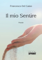 Il mio Sentire