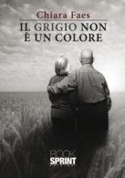 Il grigio non è un colore