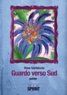 Guardo verso sud