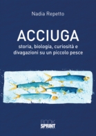 Acciuga